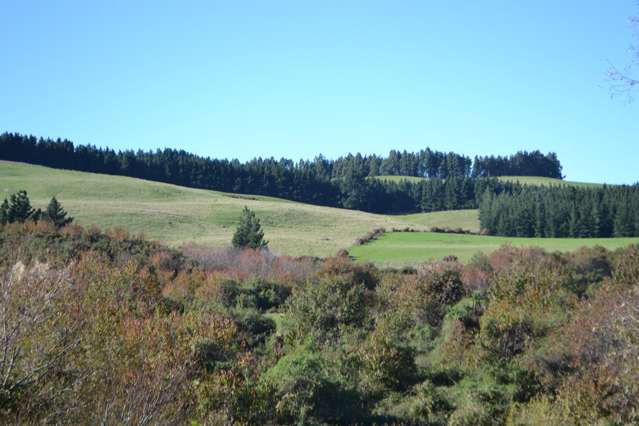 1363 Loburn Whiterock Road Loburn_1