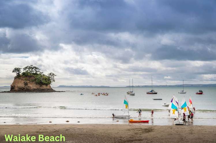 1/957a Beach Road Torbay_17