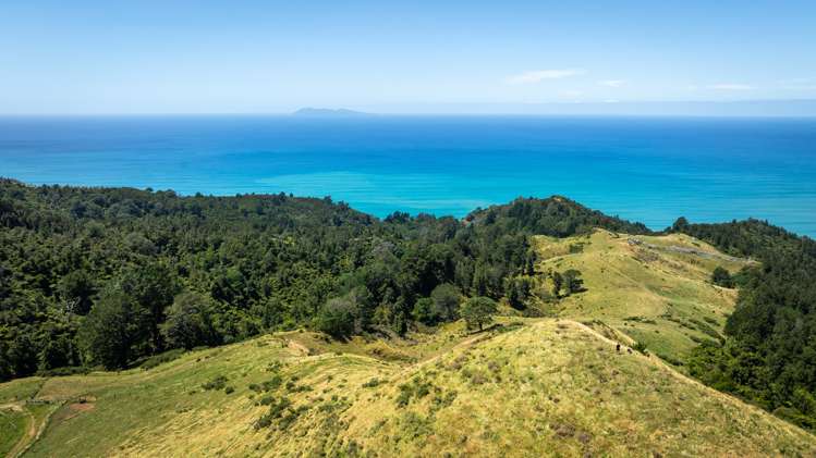 31 Ngatitangata Road Waihi_6