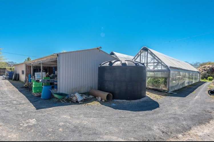 1221 Kaipaki Road Cambridge_11