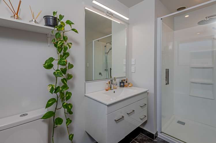 11 Monarch Drive Ashhurst_9