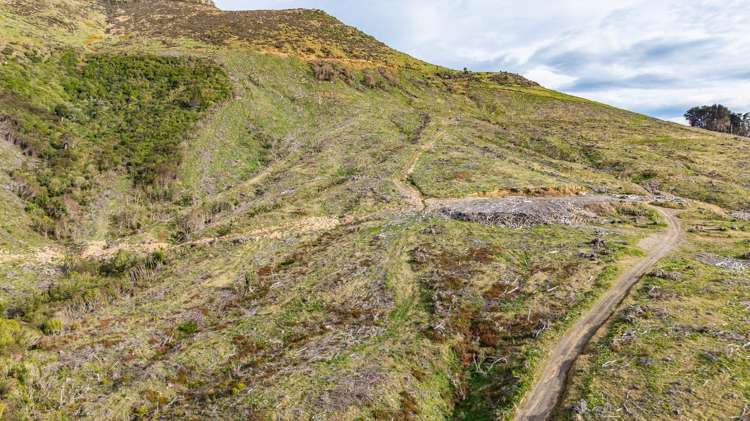 1301 Western Valley Road Port Levy_16