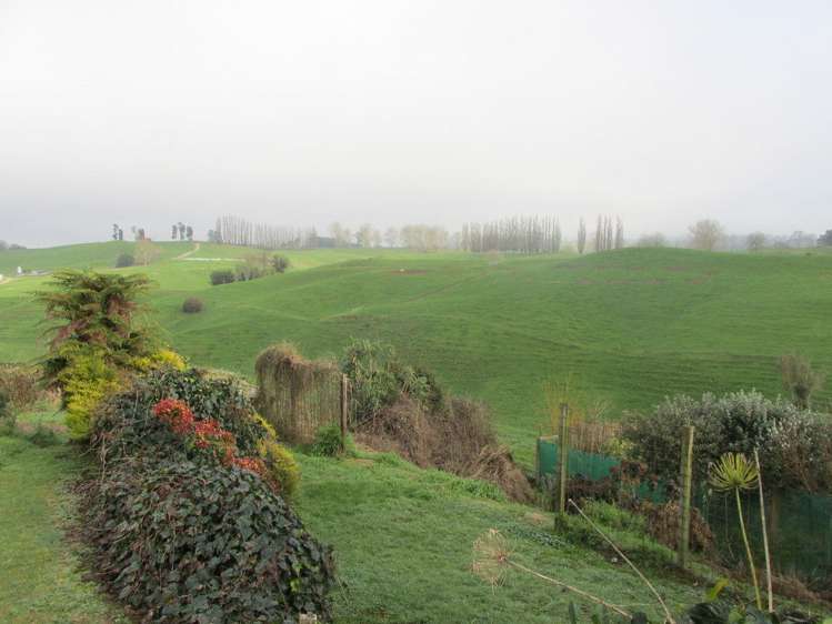 72 Reservoir Street Putaruru_11