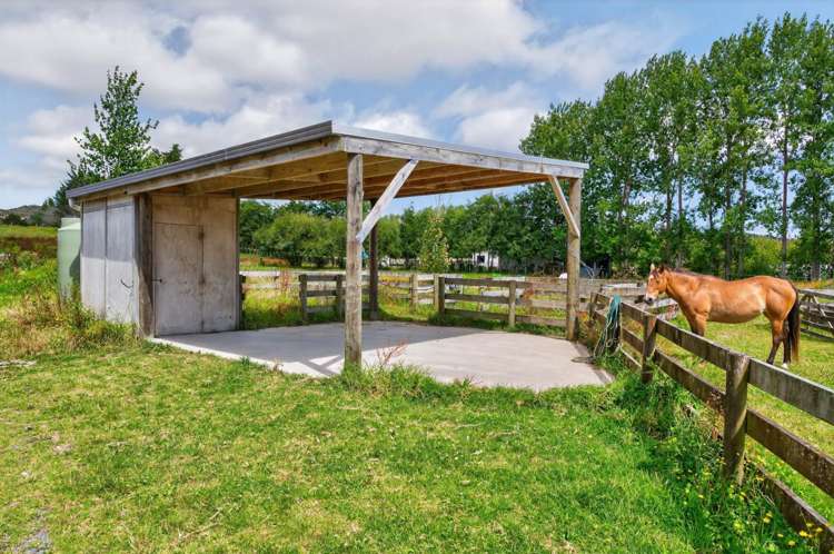 198b Devich Road Mangawhai_21