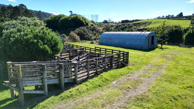 74B Willoughby Road Katikati_4