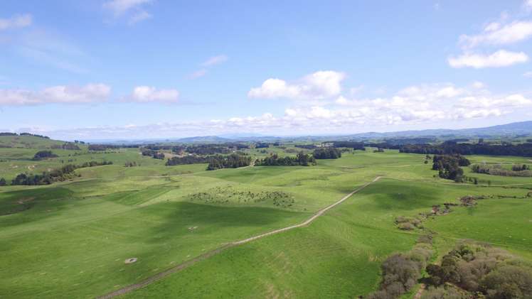 118 Huirimu Road Wharepapa South_5