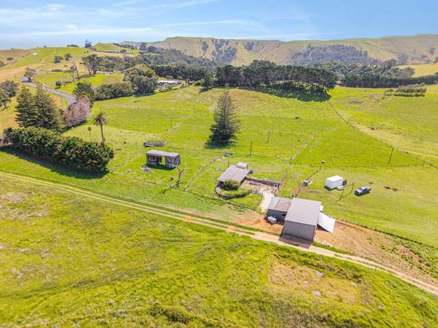 172 Manukau Heads Road Awhitu_3