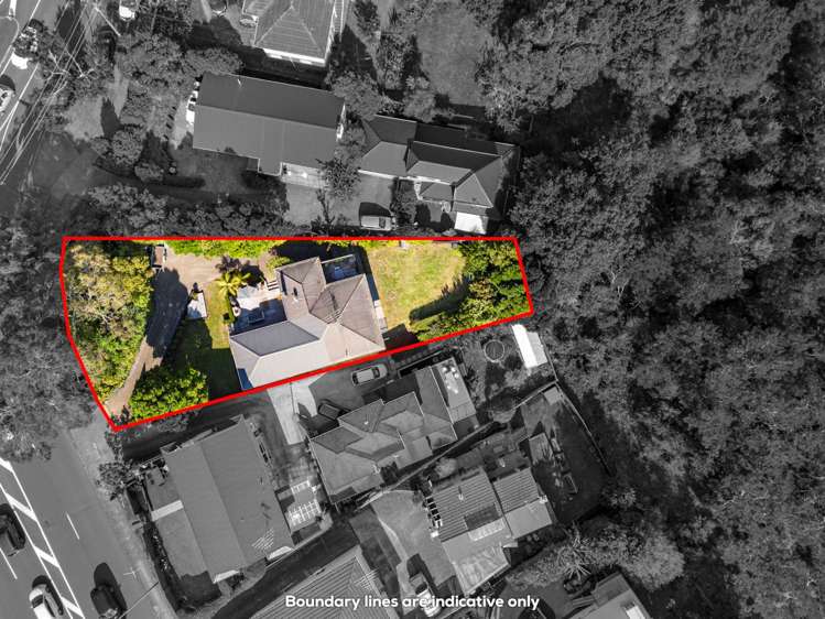 338 Saint Heliers Bay Road Saint Heliers_21