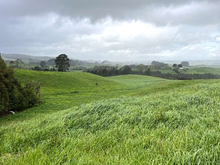 870 Mangati Road Puketotara_6