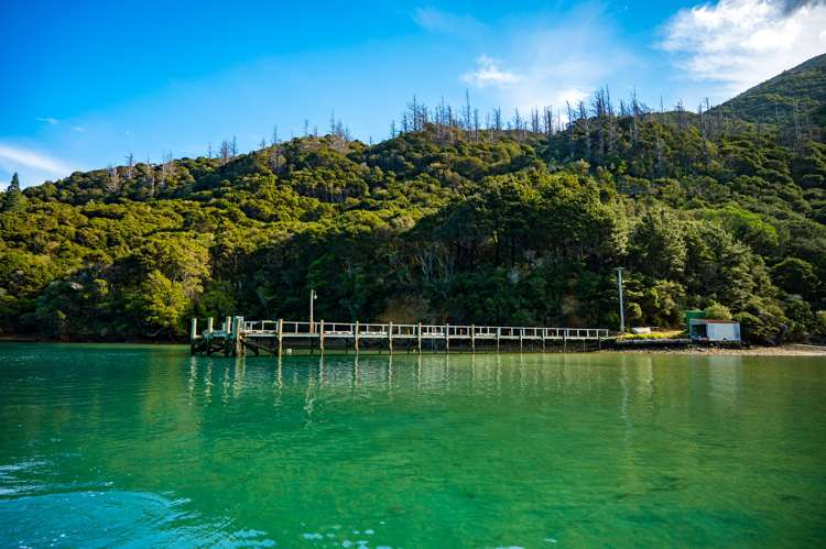 Endeavour Inlet Furneaux_0