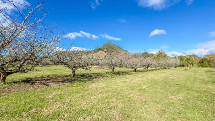 1079 Tairua Sh25 Road Whangamata_14