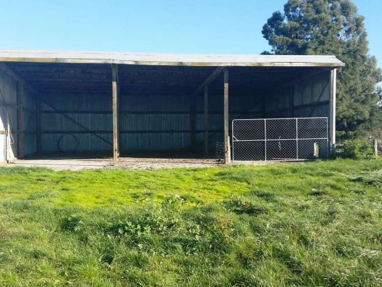 81 Opihi Terrace Road Waitohi_5