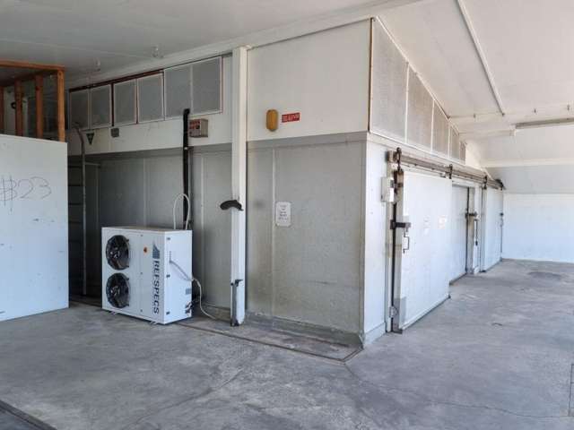 22 Fort Street Cambridge_3