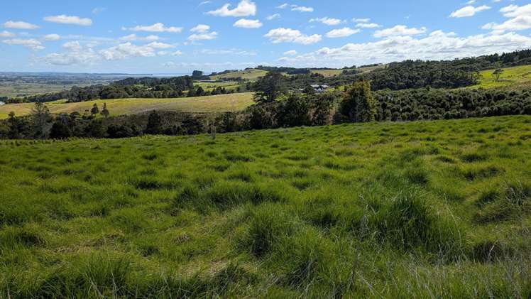 421 Kiwitahi Road Helensville_6