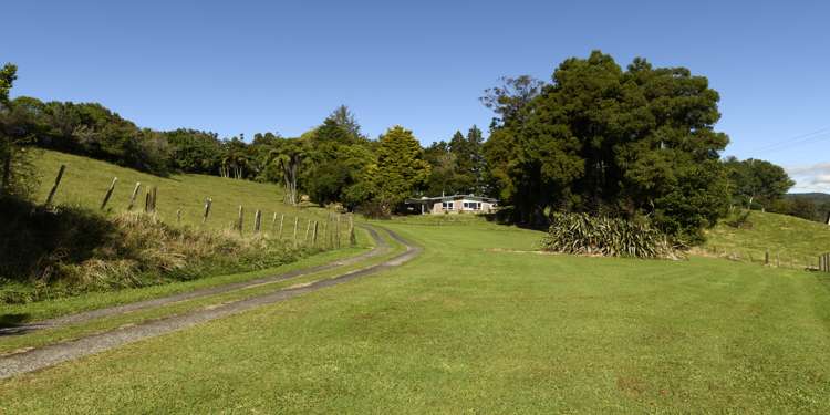 87 Ross Road Whakamarama_9