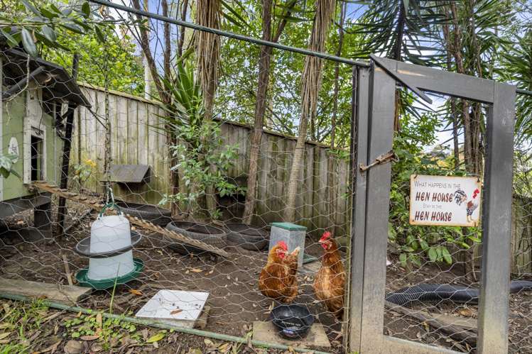 20 William Hadlow Place Hatfields Beach_29