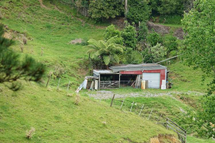 63e Lowe Road Whakamarama_15