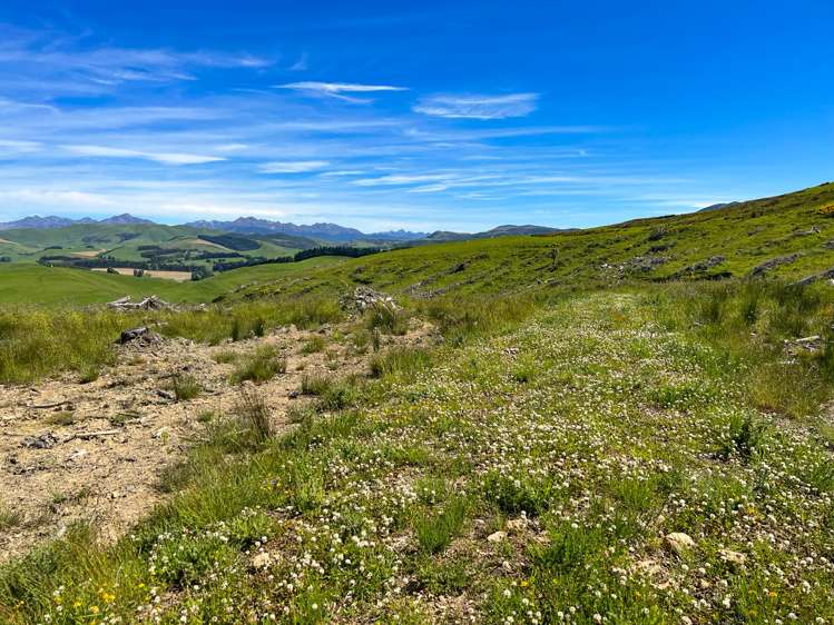 194 Beaumont Station Road Ohai_4