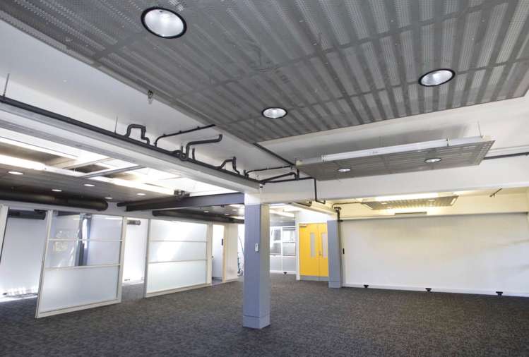 72 Dominion Road Mt Eden_1