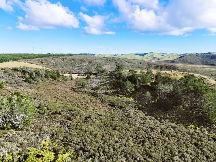 Lot 1 State Highway 12 Dargaville_1