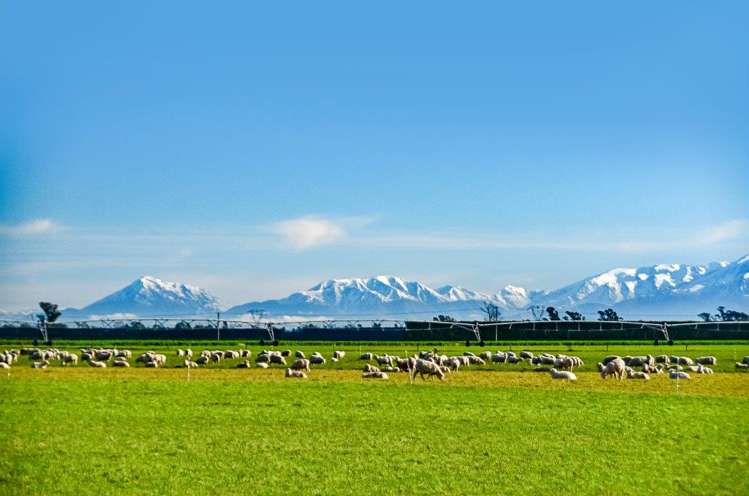 395 Courtenay Road Darfield_1