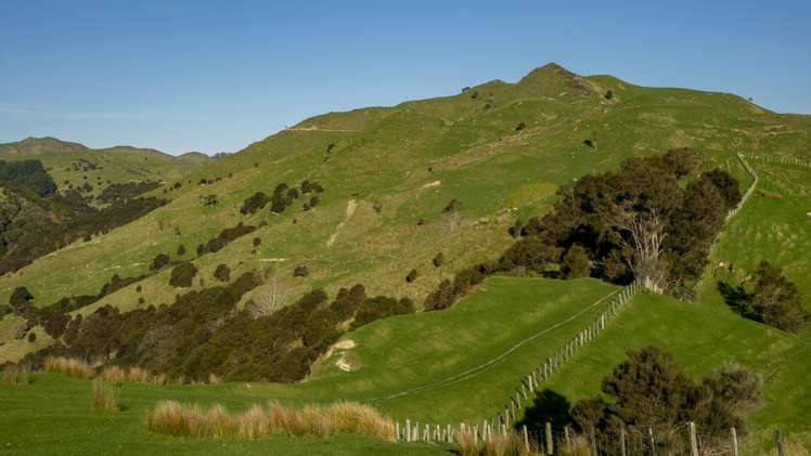 851 Clifton Grove Road Gladstone_4