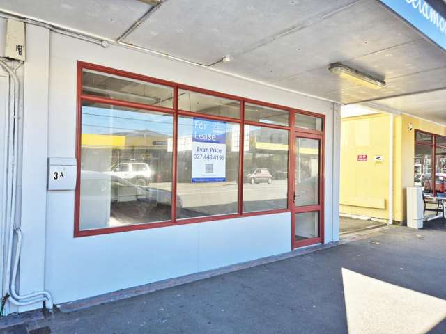 3 Coutts Street Kilbirnie_1