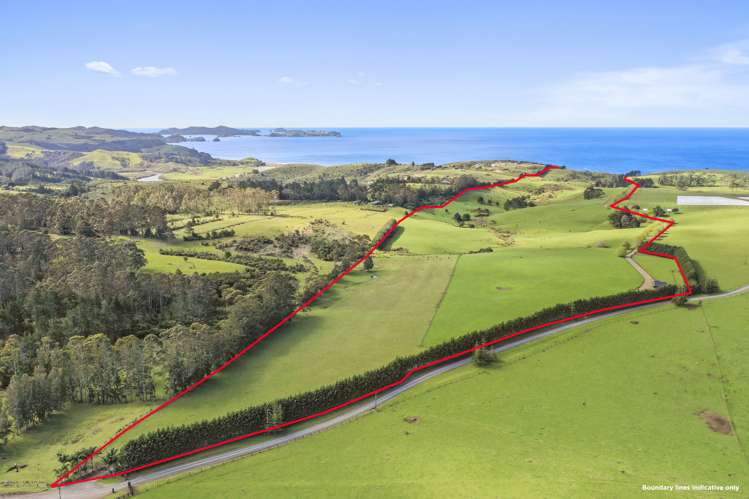 465 Otaha Road Kerikeri_2