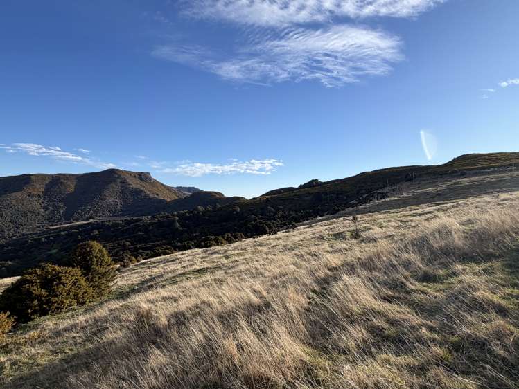 490 Long Bay Road Akaroa_15