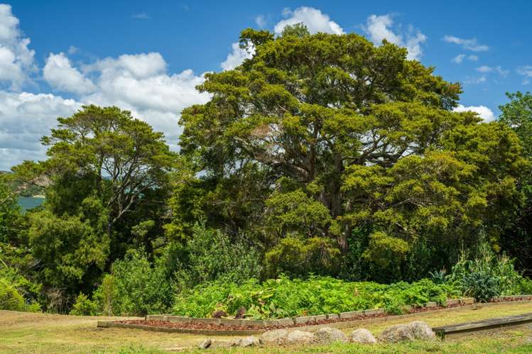 19 Turiapua Lane Parua Bay_47