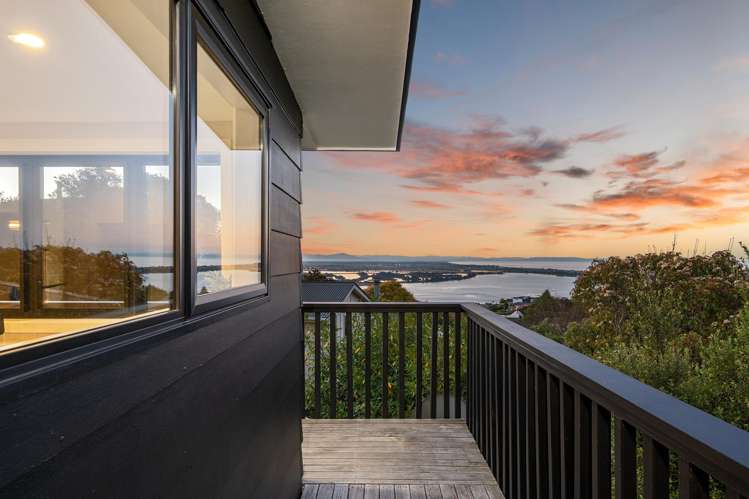 167 Soleares Avenue Mt Pleasant_20