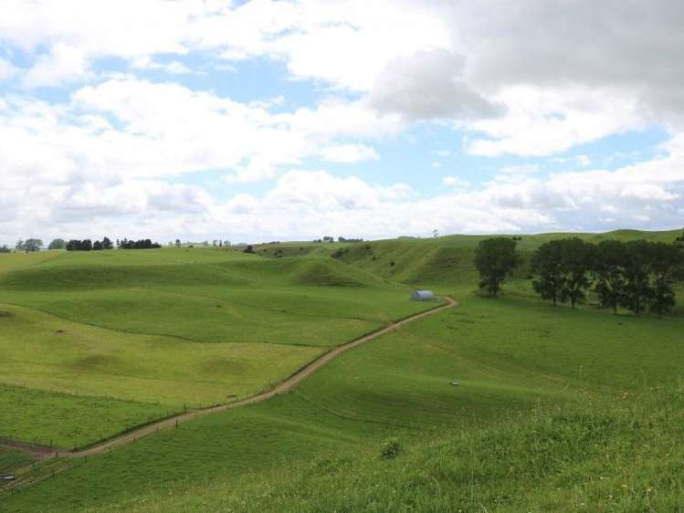 1190 Lake Arapuni Road Putaruru_1