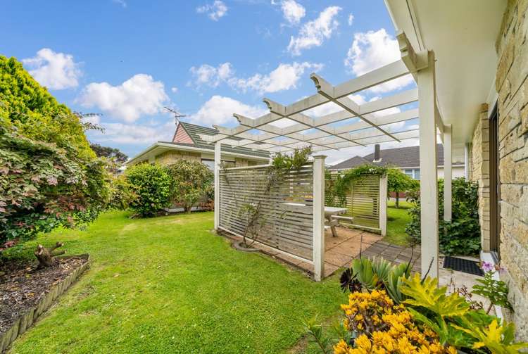 12 Frederick Street Avalon_18