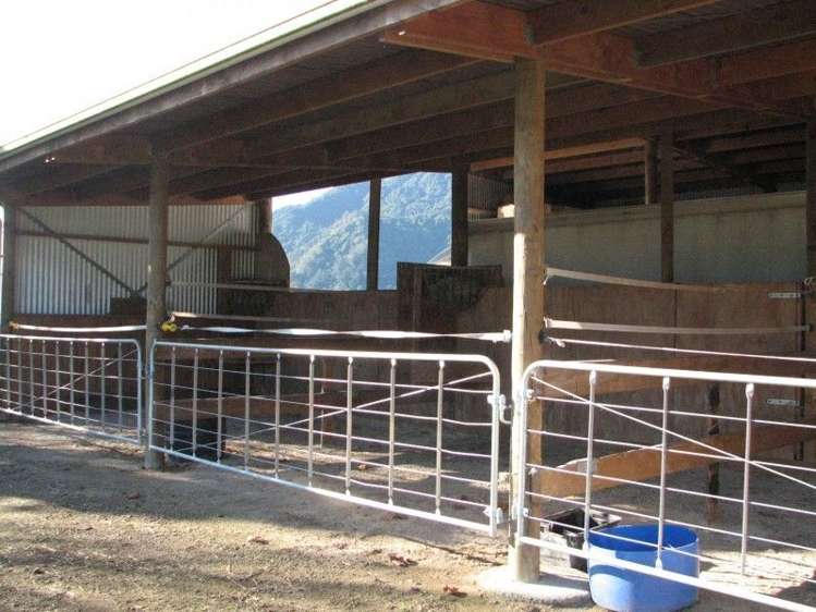 44 Racecourse Road Te Aroha_14