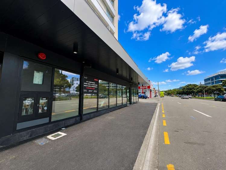 34 Kent Terrace Mt Victoria_7