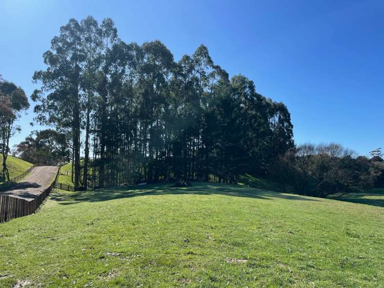 Lot 1and2 324 Homewood Road Waipawa_18