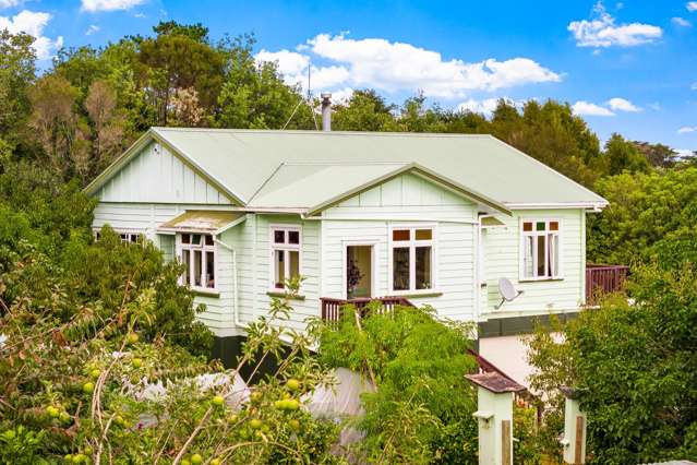 A Character Home Full of Life and Opportunity