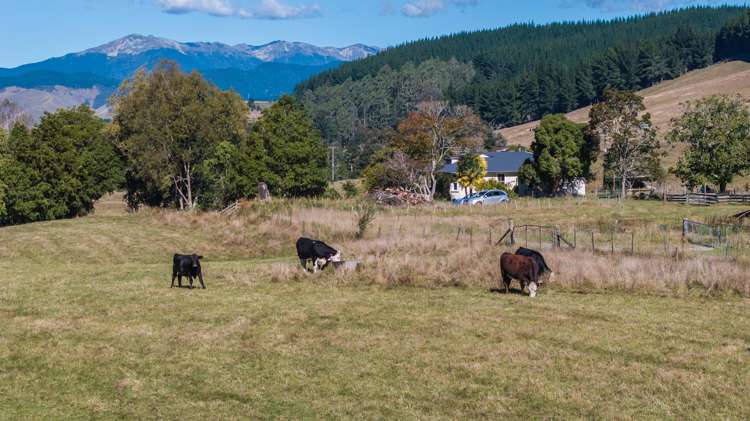 335 Pretty Bridge Valley Road Wakefield_9