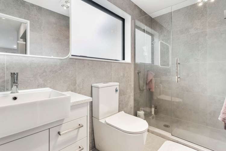 1b Coleman Avenue Mount Roskill_17