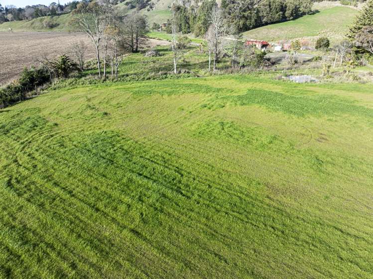 342 Hill Road Eskdale_5