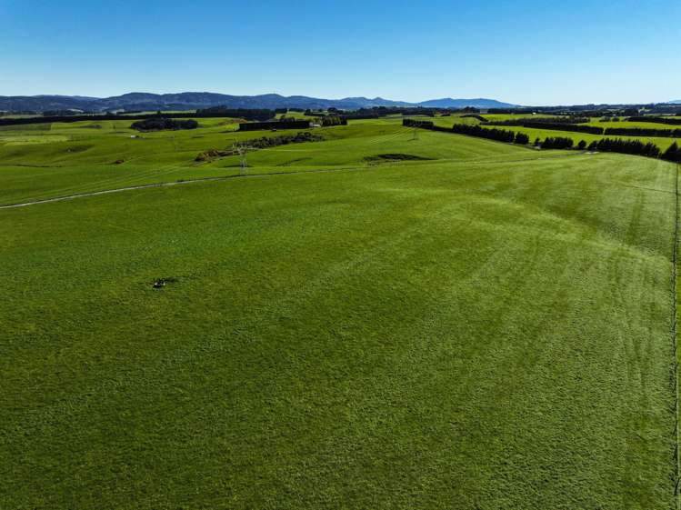 461 Cross Road Pebbly Hill_5