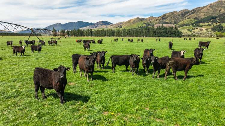 10 Chatterton Road Hanmer Springs_13