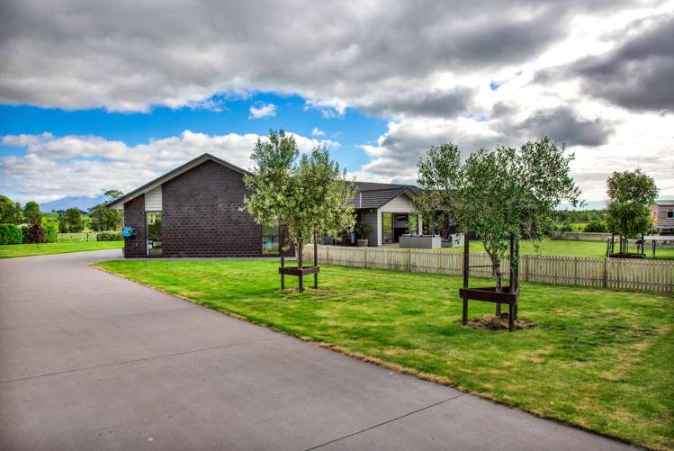 506 Egmont Road Hillsborough_23