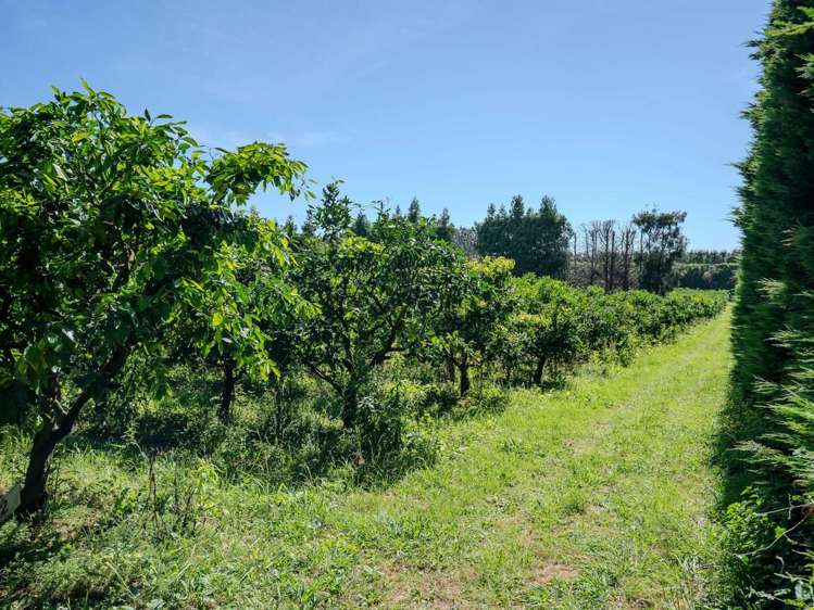 581D Kerikeri Road Kerikeri_14