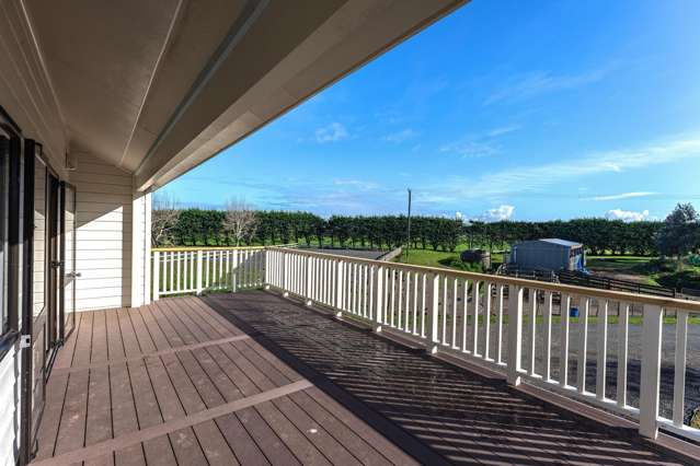 593 Waikawa Beach Road Waikawa Beach_4