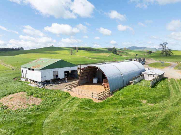 17 Chepmell Road Morrinsville_6