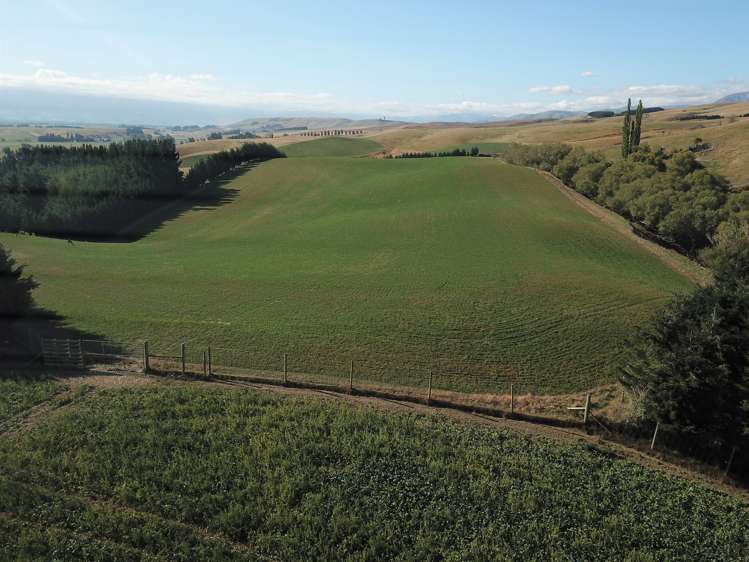 207 Tondros Road Fairlie_1