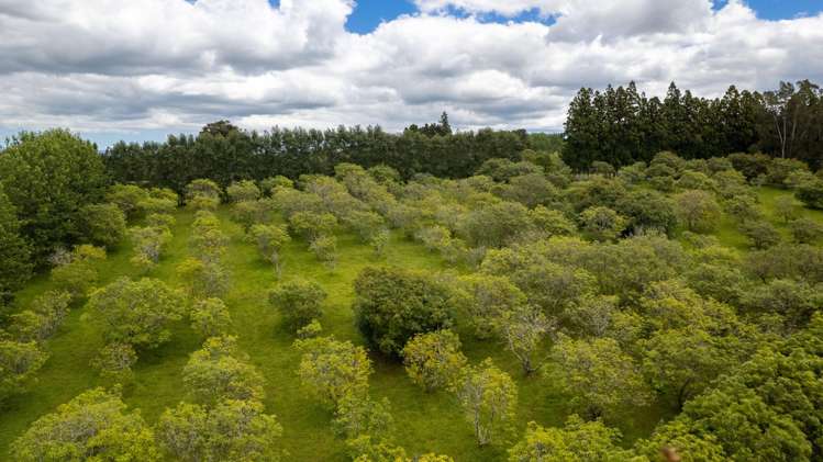 5631 State Highway 12 Kaikohe_26