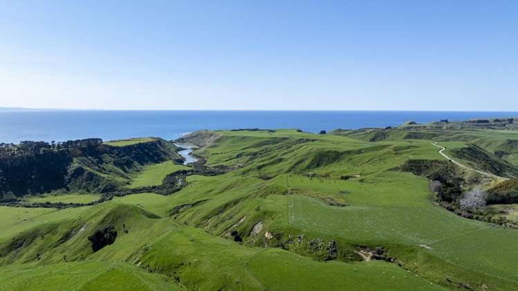 790 Mahia East Coast Road Māhia_6