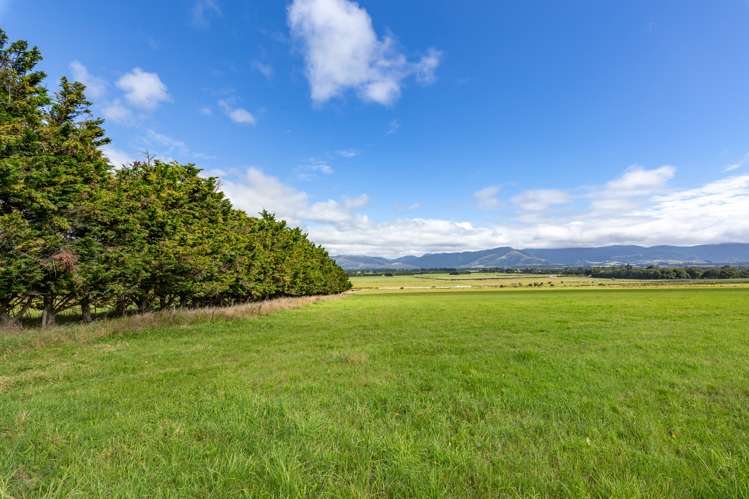 345 Summerhill Road Cust_30